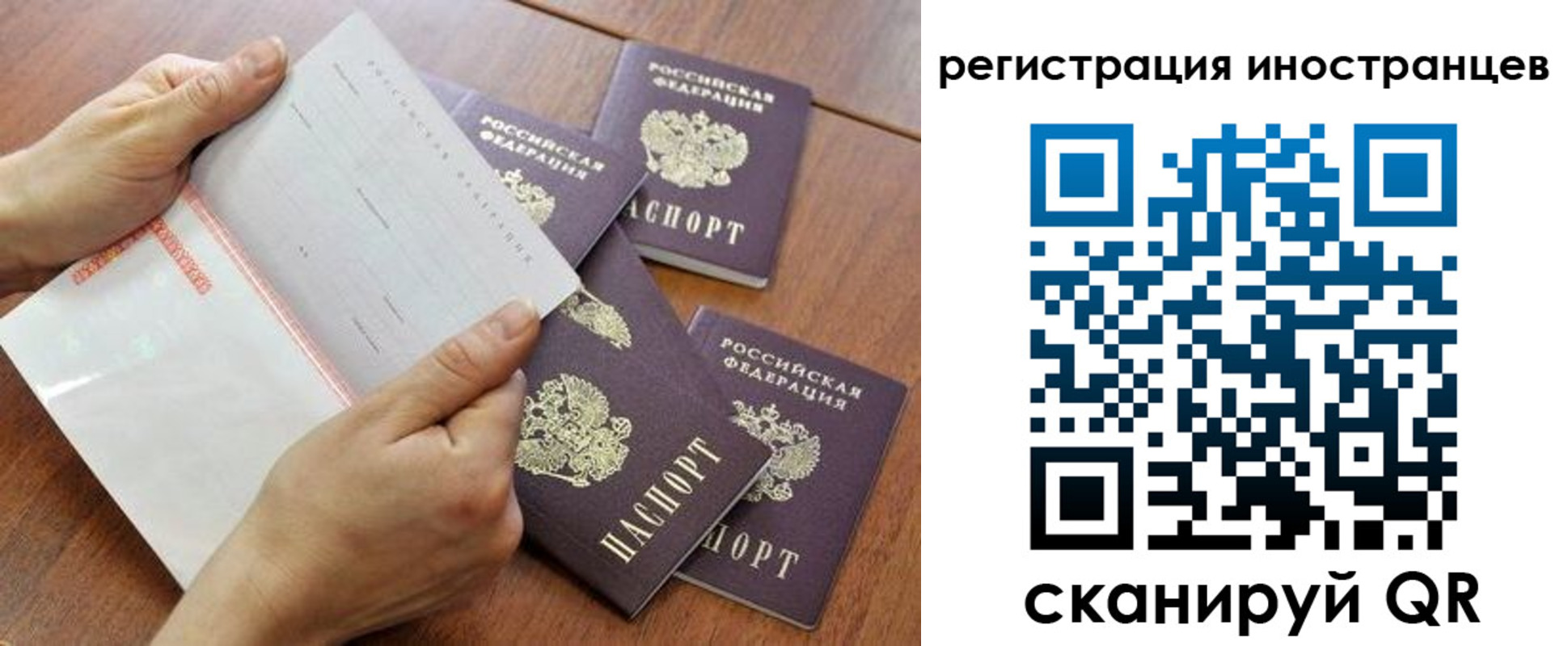 прописка поиск в Фокино